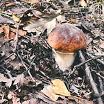 на берегу живописного озера * Kerimäki