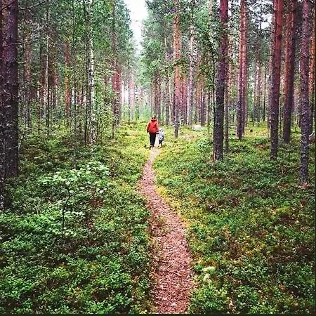 度假居 на берегу живописного озера