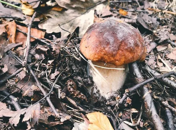 на берегу живописного озера * 케리마키